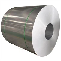 ST13 Cold Rolled Steel Coil / Plat